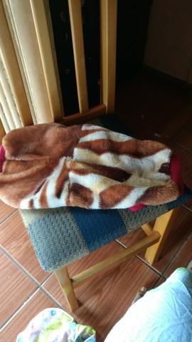 Roupas para cachorros