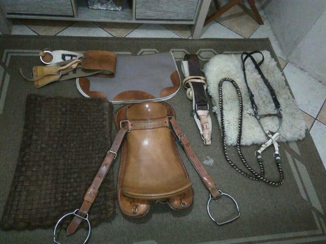 Encilha para cavalos