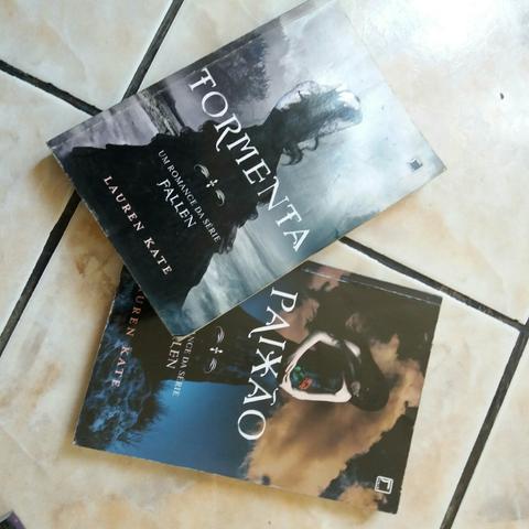 Livro Tormenta e Paixão saga Fallen