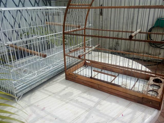 Vendo gaiolas