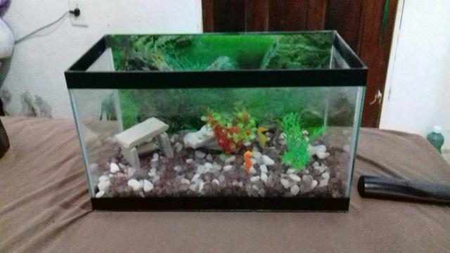 Aquario com bombinha