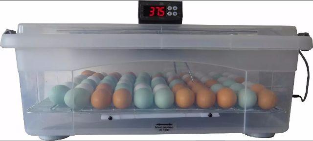 Chocadeira Automática - 66 Ovos de Galinha ou 198 Ovos de