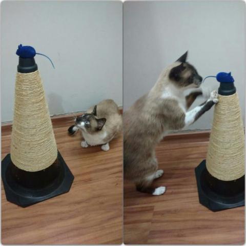 Cone Arranhador Para Gatos [Sob Encomenda]