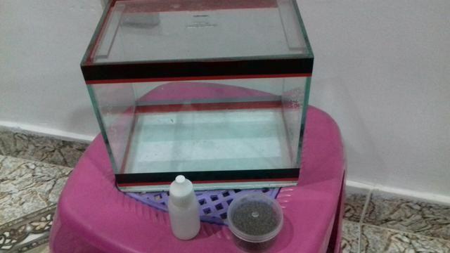 Mini Aquario para peixe + ração + liquido para limpeza