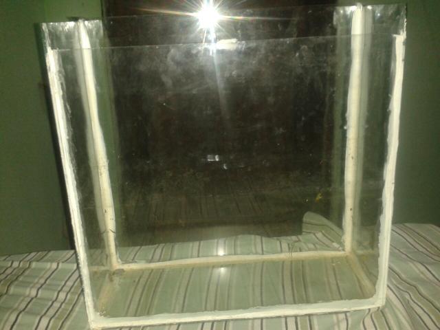 Aquário temporária para alevinos e bettas