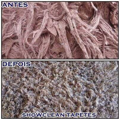 Seu Cachorro fez xixi no tapete ?