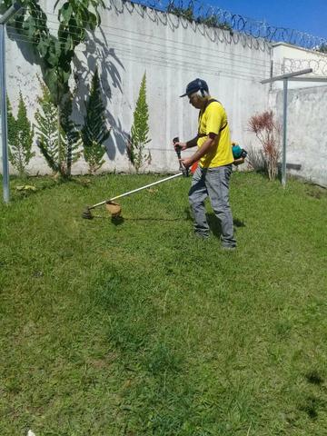 Jardineiro curitiba e todas as regiões