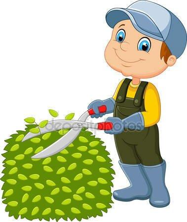 Limpeza e manutenção em jardins