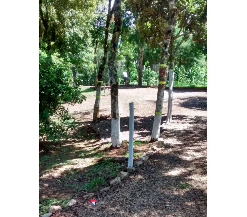 Chacara toda formada proxima a br376 apos sao jose dos pinha