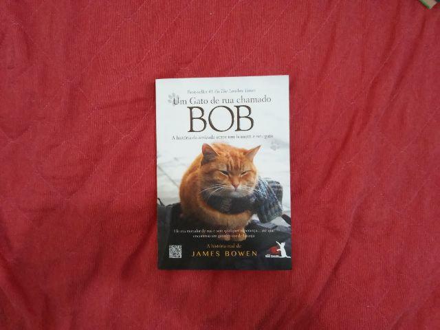 Livro Um Gato De Rua Chamado Bob