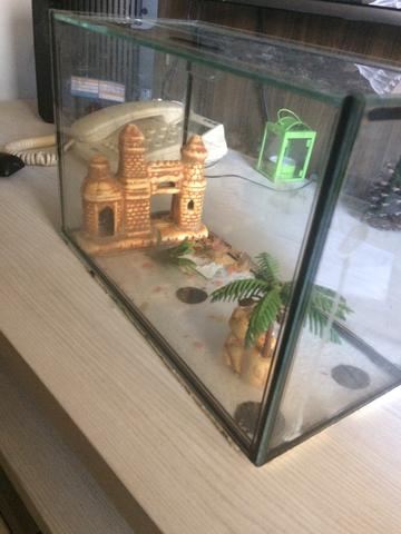 Aquário pequeno