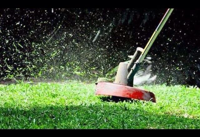 Limpeza de terreno com roçadeira