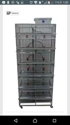 Bateria para codorna