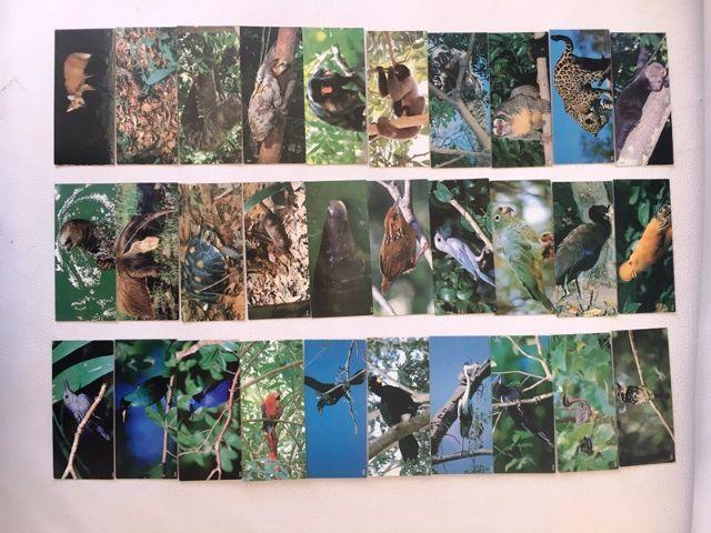 Cards Chocolate Surpresa