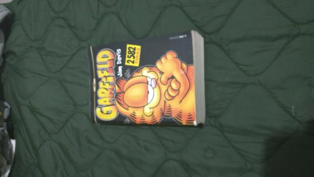 Livro com  tiras de Garfield
