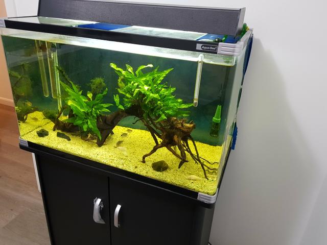 Aquário Aqua One Euroview 140L + móvel + luminária