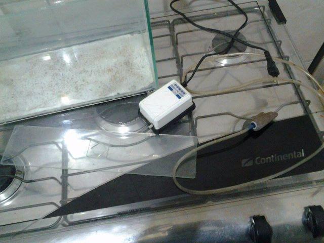 Aquário com bombinha e comida para peixe