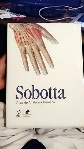Atlas de Anatomia Humana Sobotta 23° edição