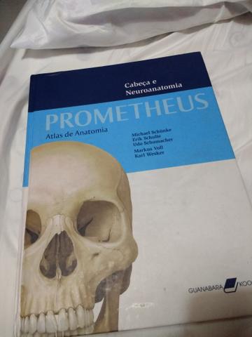 Atlas de Anatomia Prometheus - 3 volume