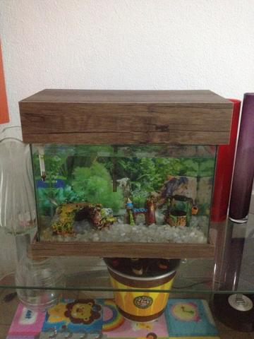 Aquario completo