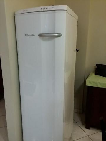 Freezer vertical eletrolux FFE24