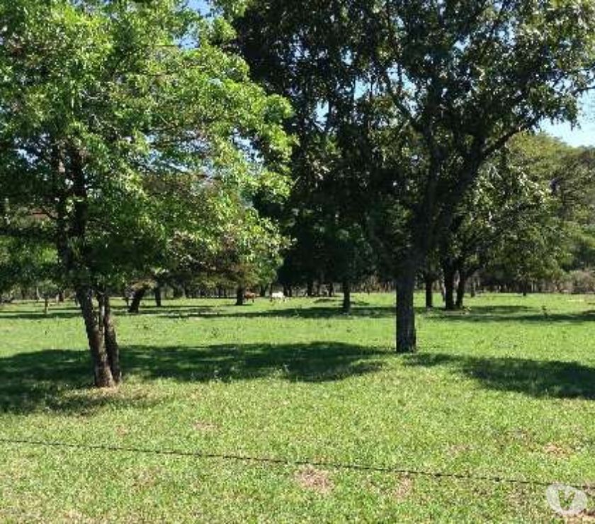 Magnífica Fazenda em Santa Rita do Passa Quatro