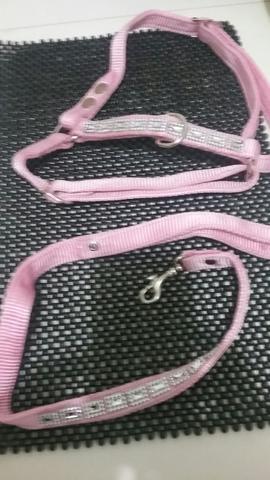 Peitoral e guia nova linda