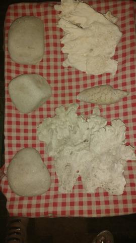 Vendo Acessórios Lindos Para Seu Aquário!!!