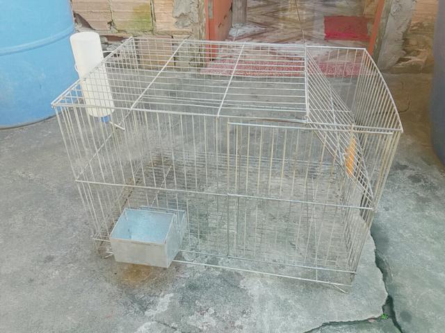 Vendo gaiola