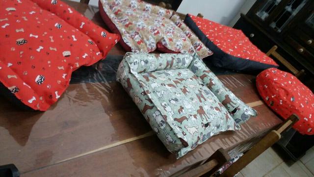 Caminha pra cachorro