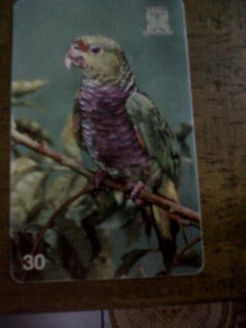Ct 111- Cartão 1 Série Aves Ameçadas Extinção Pr -tir.