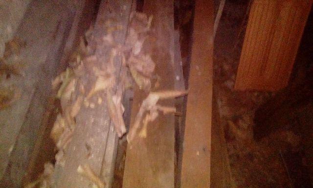 Serviços de marceneiro