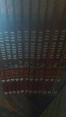 Fairy Tail de 1 ao 12 -otimo estado -