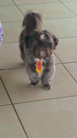 Disponível pra cruza