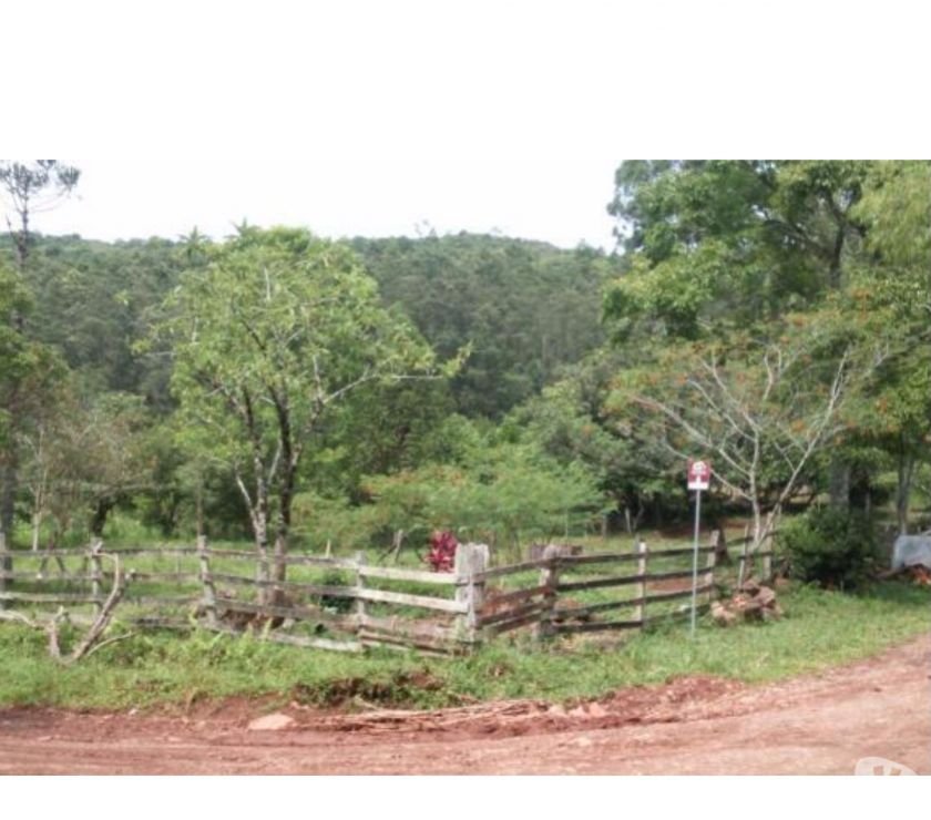 Sítio de 12 hectares - Boa Esperança - Rolante RS