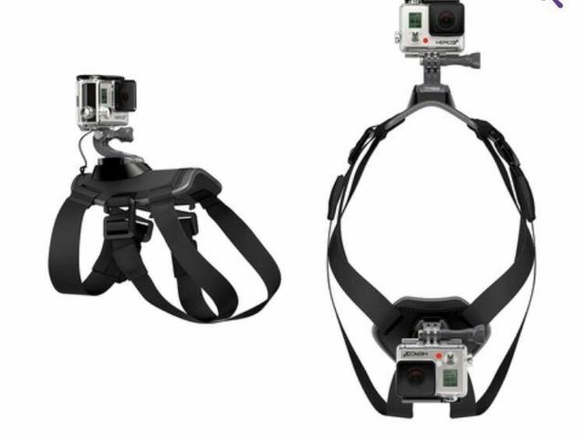 Suporte Gopro Canino original