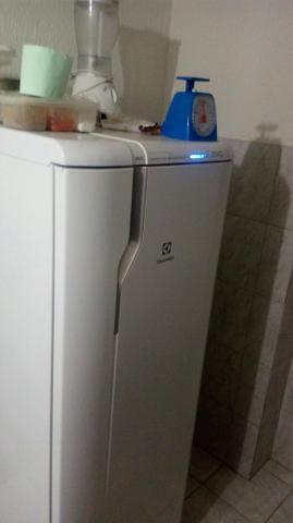 Vendo geladeira eletrolux frostfree