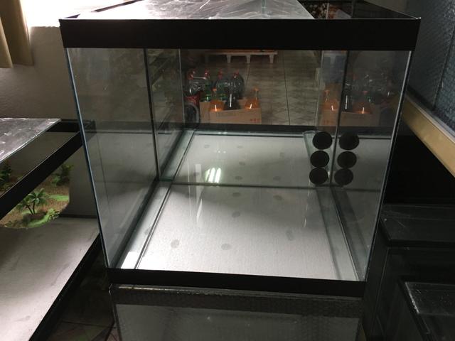 Aquario 50x50x50 novo com sump traseiro e fundo espelhado