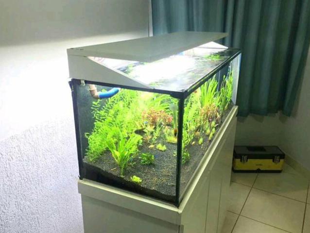 Aquários e móveis por encomenda