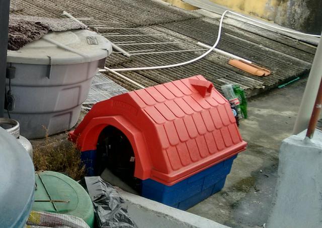 Casa de cachorro nova