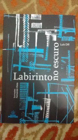 Livro Labirinto no Escuro