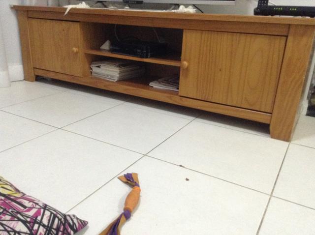 Rack da loja Tok&Stok, 2 anos de uso, 2 portas