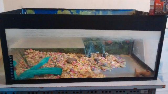 Aquário para peixes