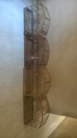 Gaiolas de trinca ferro