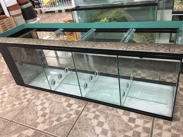 Bateria de Aquarios novo com sump e divisórias 100x30x40