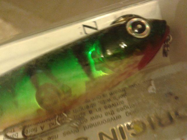 Isca importada polonesa, sem igual, pega de tudo