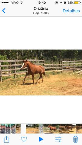 Para tudo. É isso mesmo uma filha do raybam da santa