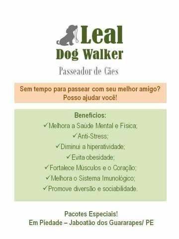 Leal Dog Walker (Passeador de Cães)