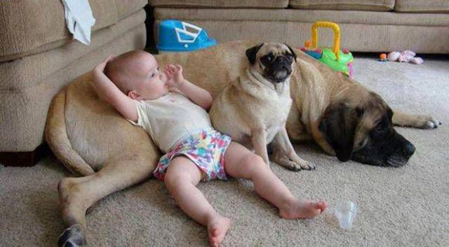 Rede de ProTEÇÃo (Original) Ligue: -waths