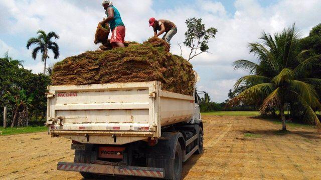 Grama esmeralda e grama batatais preço varejo 4,50 m2 com